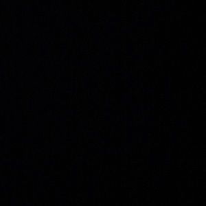 Meet your Posher, Yasmine